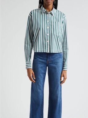 Express Green & White Striped Button-Up Crop Top